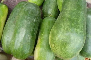 种冬瓜的蔬菜搭配，你get了吗？