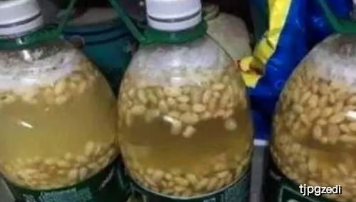浓缩液体肥料怎么用？浇花时如何把握用量