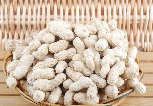 花生是花生的什么部位？看完这篇文章你就知道