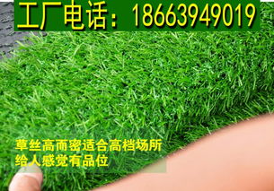 草坪杀虫农药的种类
