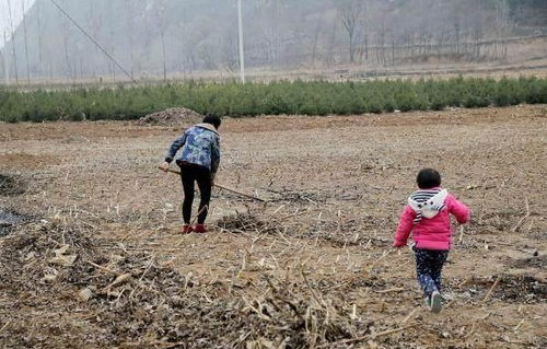 工地种地丁的成长记