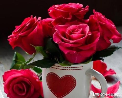 送玫瑰花合适，不同性格老婆送花攻略