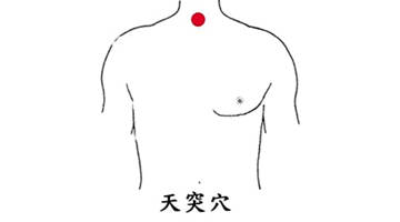 粉掌修根时如何避免损伤根部，有哪些技巧可以分享