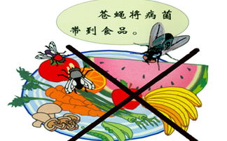 如何安全地生食芦笋，避免食物中毒和细菌感染