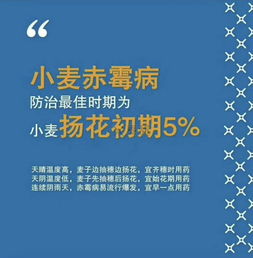 关键点一：精准测报