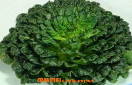 塔菜是一种可生吃的蔬菜，富含营养
