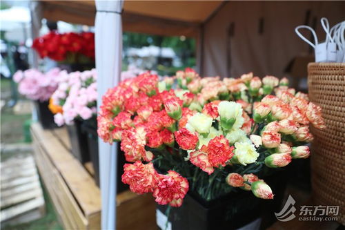 3. 个性十足的盆景