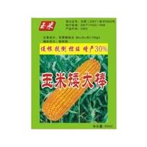 油菜素内酯玉米：健康的守护者