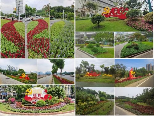 花卉盛宴， 庆祝建党百年