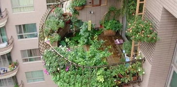 东北阳台适合种植哪些花草，能让我的阳台在春天充满生机呢