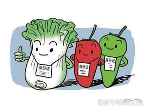 清洗蔬菜， 保护健康