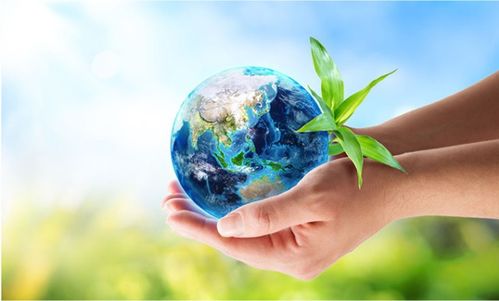 白桦茸进口的规定