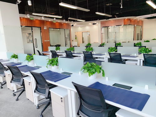 百度爱采购：搜索北京苗木厂家