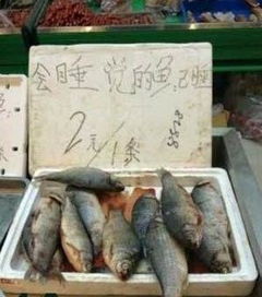 街头小贩售卖狐狸皮，真假难辨