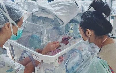 卧室养康乃馨，温馨又宜人
