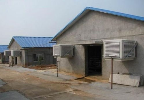 猪场保温通风设计：兼顾保暖与通风