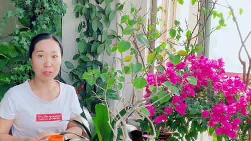 花卉养护技巧，如何让它们更旺盛生长