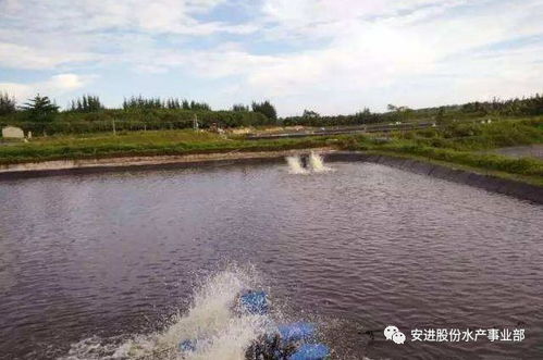 虾塘水有机物多和甲藻过多，有什么有效方法可以同时处理？