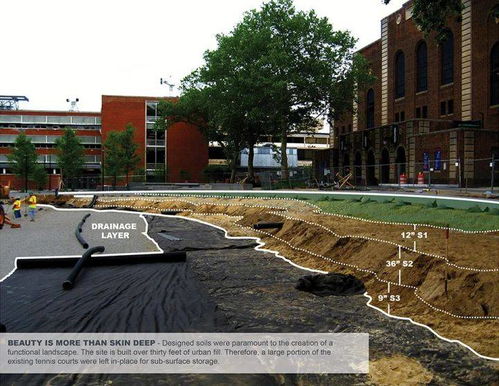 土壤改良：定期检测， 土壤梗健康