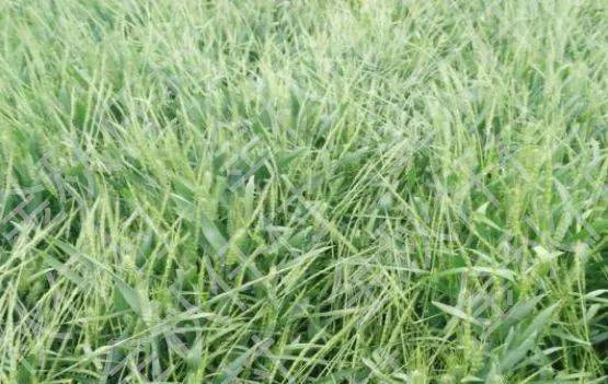 新手必犯三大错：别走弯路