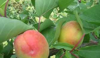 新手常见问题大揭秘