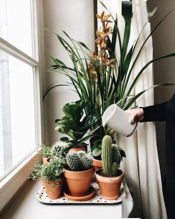 小空间， 大奇迹