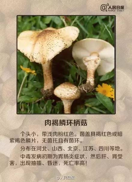 误食草甘膦后的情况