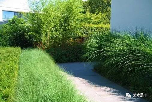 耐阴或半耐阴的阔叶树种