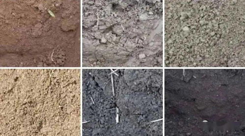 酸性肥料清单， 一网打尽