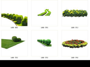 第一步：选对植物，才嫩养得开心