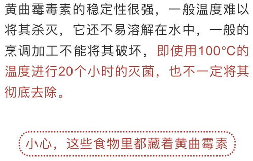 橡树种子盘玩：是宝还是坑？