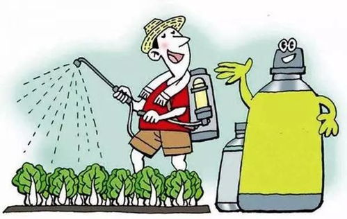 婆婆中午要去打农药，有什么需要注意的平安事项吗？