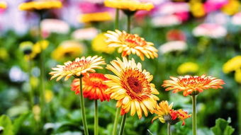 耐药性大挑战：杀菌剂使用频率与抗药性