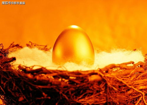 一夜春风把黄金庆典吹开了这庆典里有哪些精彩活动呢？