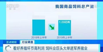 莱芜兔饲料厂如何通过质量至上和创新驱动，成为养殖行业标杆的典范？