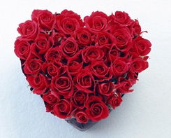 昆明玫瑰花的价格探秘