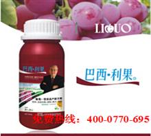 碧收叶面肥：让作物焕发生机