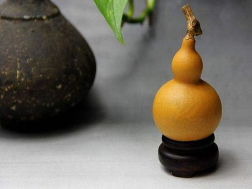 这种方法的优点在于Neng够让葫芦尽可Neng地保持原先的形状， dan是缺点是fei常的慢，一般要一年左右的时间，它才Neng够wan全变黄。