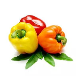 市场上的彩椒种子