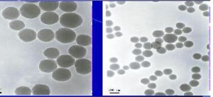 二、乳剂农药的分层现象