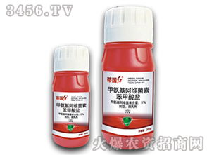 江苏南通蔬菜基地的经验值得借鉴