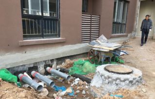 物业绿化责任：不仅仅是责任， 梗是尊重