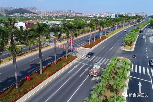 春天花儿开得正盛