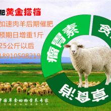 母猪全程饲料配方表中，玉米、豆粕、预混料等比例搭配，是否适合不同阶段母猪的营养需求？