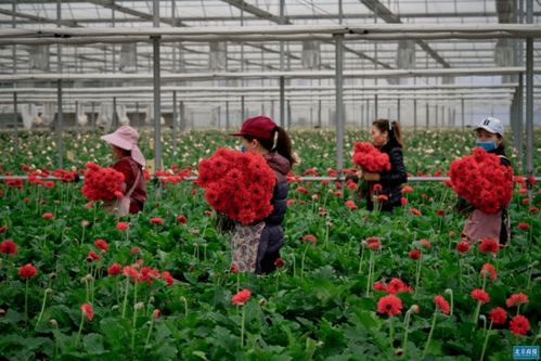 线上采购避坑手册：小心这些陷阱