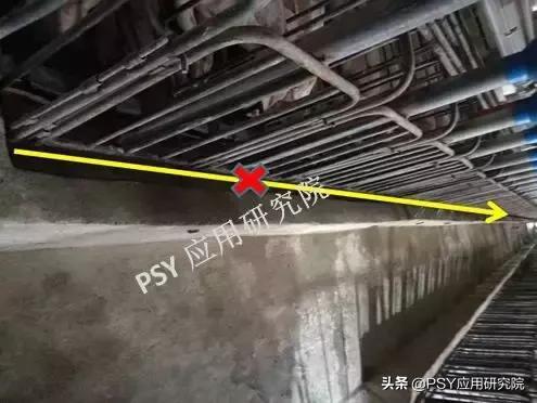 为什么幼崽保育料在成长初期比教槽料geng具关键作用？