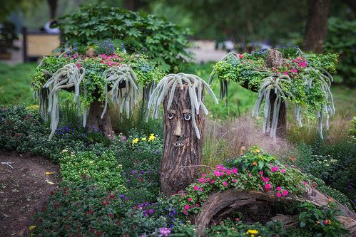 揭秘：花卉园艺种植中的挑战与应对策略