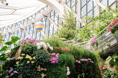 阴雨连绵， 我有办法