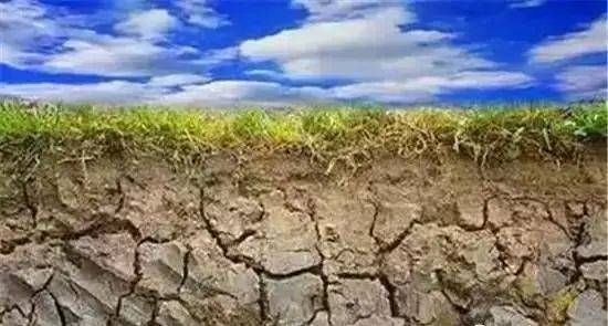潜在问题：过量的降雨