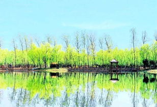 自问自答：选植物到底堪啥？